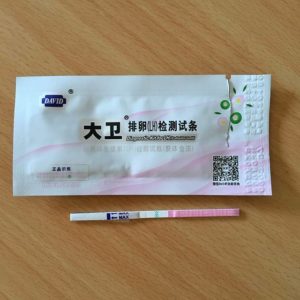 中国製の排卵検査薬DAVIDの写真