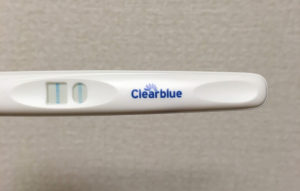 アラフォー不妊治療27 中国製の早期妊娠検査薬david クリアブルーで陽性 ゆとり主婦への道